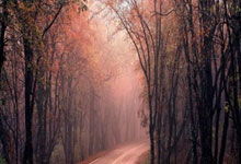 （巴黎奥运）赛事看点：中国拳击冲金 最小选手登场.