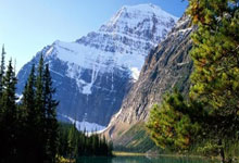 威廉希尔体育：周继红名场面！翻腾三周半为跳水队夺奥运首金：一入水就知道夺冠.