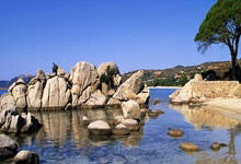 姆巴佩正與大巴黎談續約 英媒：將為球隊留下可觀轉會費.